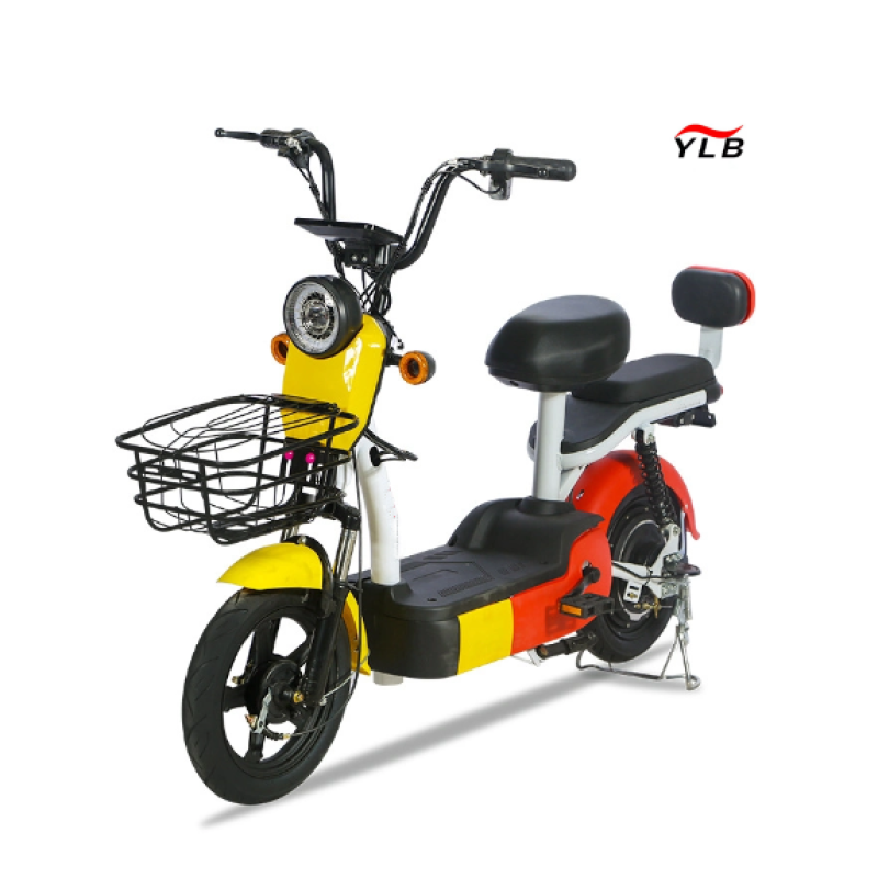 Electric City Bike Manufacturer - 48V Hub Motor Steel Frame