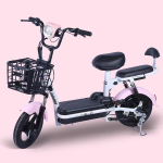Electric Bike Manufacturer - 20 Inch Four Speed