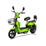 Electric City Bike Manufacturer - 48V Electronic Brake System