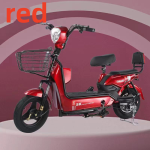 Electric Bike Manufacturer - 48V Long Range 2 Seats