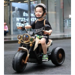 Ride On Car Manufacturer - 2 Seats Licensed Adults