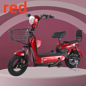 Electric Bike Manufacturer - 350W 2 Seats Big Basket