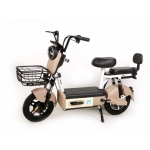 Electric Bicycle Manufacturer - New Design Motor