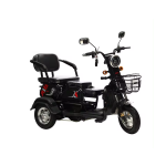 Adult Electric Car Manufacturer - Lightweight City Mobility