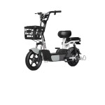 Electric City Bike Factory - Youth-Suitable Accessorized