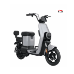Electric Folding Bike Factory - 350W 48V Single Speed
