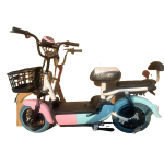 Electric City Bike Factory - Youth-Suitable Accessorized