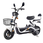 Electric Tricycle Factory - Closed Cargo Shed Load