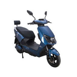 Electric Folding Bike Manufacturer - 350W 48V Cheap