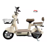 Electric Bike Manufacturer - Smart Hub Motor Integrated Battery