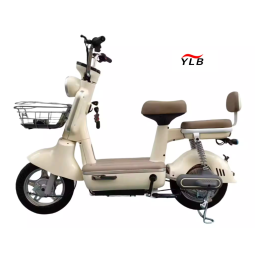 Electric Bike Manufacturer - Smart Hub Motor Integrated Battery