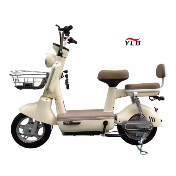 Electric Bike Manufacturer - Smart Hub Motor Integrated Battery