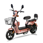 Electric Bicycle Manufacturer - Two Wheeled Adult Leisure