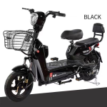 Electric Bike Manufacturer - 48V Long Range 2 Seats