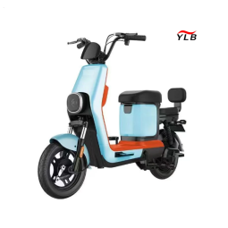 Electric Folding Bike Factory - 350W 48V Single Speed