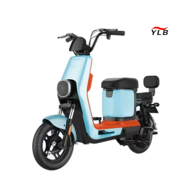 Electric Folding Bike Factory - 350W 48V Single Speed