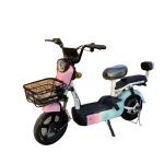 Electric Bicycle Manufacturer - 26 Inch Lithium Multi-Gear