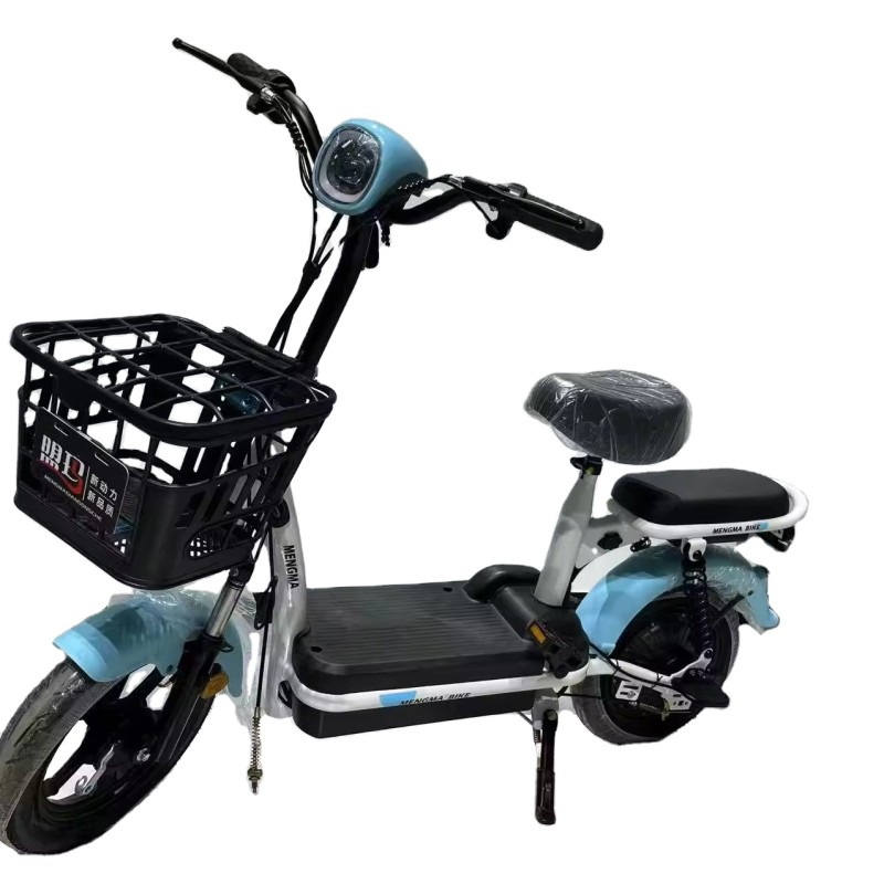 Electric Bike Manufacturer - 20 Inch Four Speed