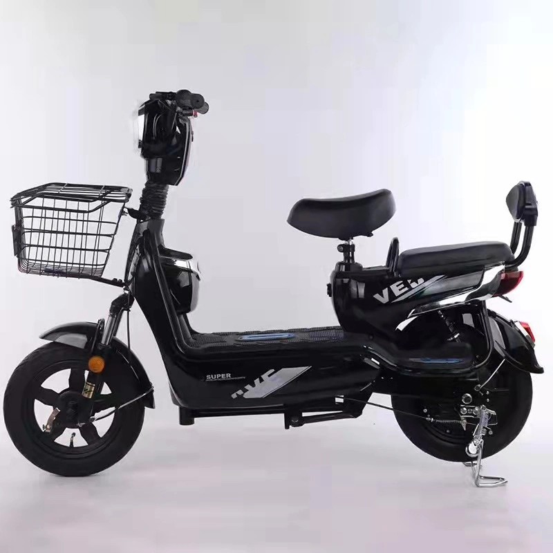 Electric Bicycle Manufacturer - Two Person Self-propelled