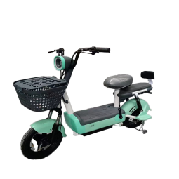 Electric Scooter Factory - 48V China Made Adult