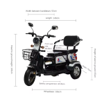 Adult Electric Car Manufacturer - Lightweight City Mobility