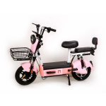 Electric Bicycle Manufacturer - New Design Motor