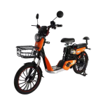 Electric Scooter Factory - 10 Inch 150kg Load