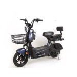 City E-Bike Factory - 350W 48V LCD Display