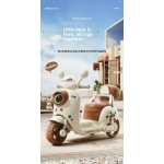 Electric Motorcycle Factory - Three-wheeler Remote Control Seat