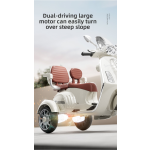 Electric Tricycle Manufacturer - Double-Seater Lights Music Remote