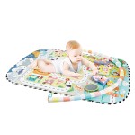 Exercise Stand Manufacturer - Multi-functional Crawling Exercise Mat