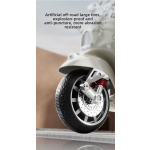 Electric Tricycle Manufacturer - Double-Seater Lights Music Remote