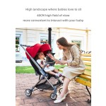 Baby Stroller Manufacturer - Hot Sell Leather 3 in 1