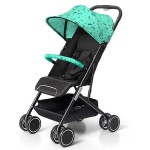 Baby Stroller Manufacturer - Foldable Iron Lightweight Travel