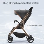 Baby Stroller Manufacturer - Multiple Baby Carriages