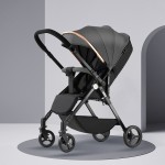 Baby Stroller Manufacturer - Multiple Baby Carriages