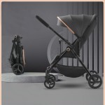 Baby Stroller Factory - Light Weight Reversible Handle