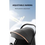 Baby Stroller Manufacturer - Multiple Baby Carriages