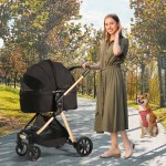 Pet Stroller Manufacturer - Luxury Cat Dog Folding Carrier