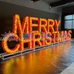 LED Sign Manufacturer - Custom Party Letter Number Light