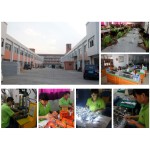 Car Sculpture Light Factory - Commercial Grade Large 3D Waterproof