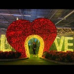 Heart Lighting Factory - Heart Shape Festival Valentine Wedding