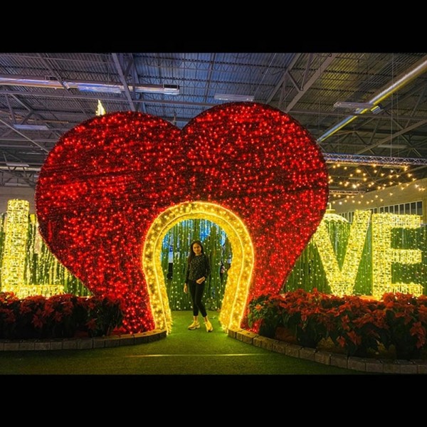 Heart Lighting Factory - Heart Shape Festival Valentine Wedding