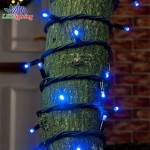 LED Curtain Manufacturer - Christmas Lighting Waterproof Light Up