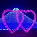 LED Arch Light Factory - Energy Saving Safety Outdoor Christmas