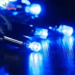 LED Curtain Light Manufacturer - Factory Christmas Outdoor Decorative