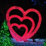 LED Light Manufacturer - Romantic Valentine Waterproof Outdoor