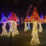 Water Curtain Light Manufacturer - Induction Mushroom Cloud Decorative