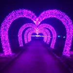 Holiday Lighting Factory - Metal Led Outdoor Street Decoration