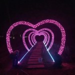 LED Arch Light Manufacturer - Outdoor Waterproof 3d Heart Shaped